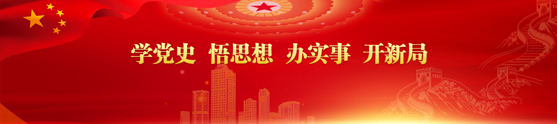学党史 悟思想 办实事 开新局