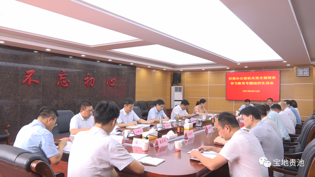 马胜利参加区委办公室机关党支部党史学习教育专题组织生活会