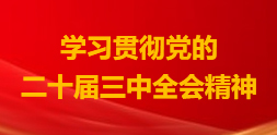学习贯彻党的二十届三中全会精神