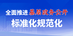 全面推进基层政务公开标准化规范化