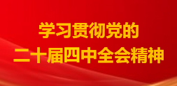 学习贯彻党的二十届四中全会精神