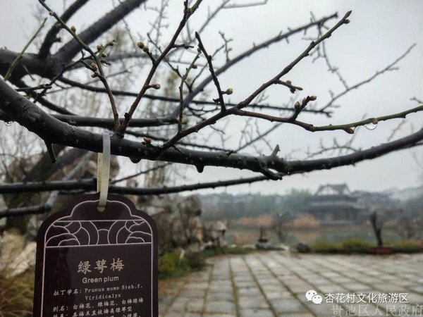 微信图片_20190108104801.jpg