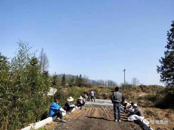 QQ图片20190613091909.png