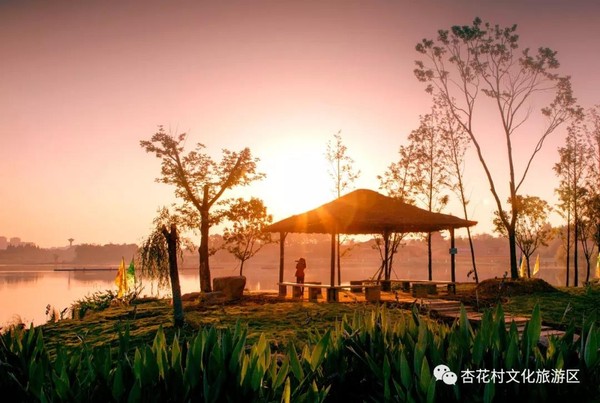 微信图片_20190802104007.jpg