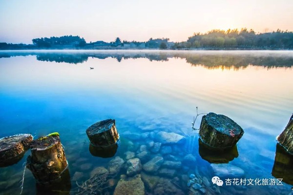 微信图片_20190802104010.jpg