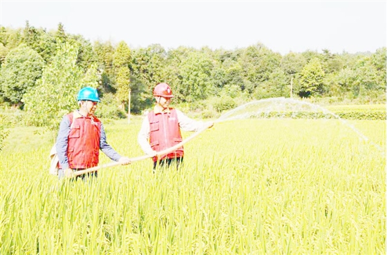 1534469815800036419.jpg 1534469815800036419.jpg