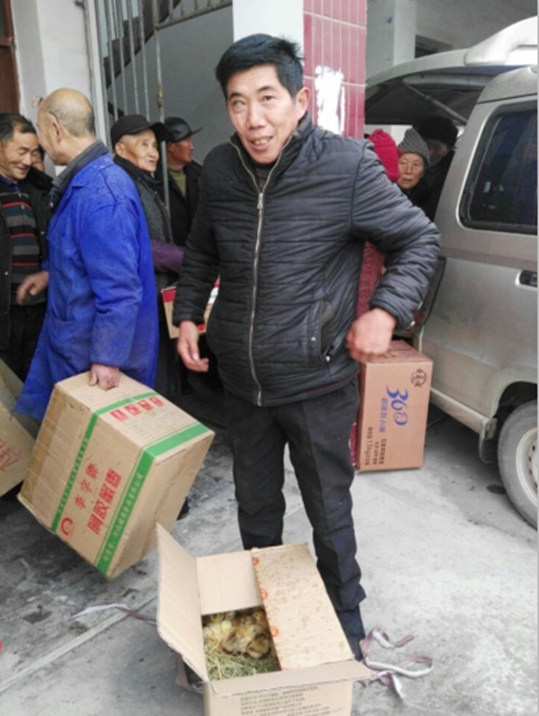 大兴村发放鸡苗_副本.png