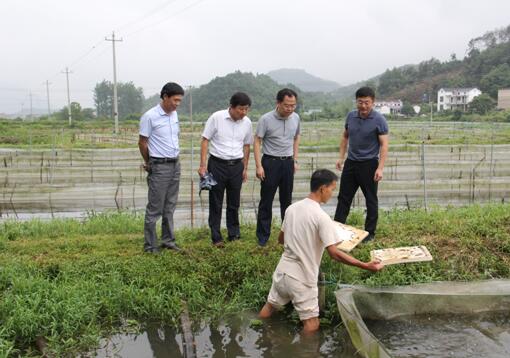 1528685200533065004.jpg 1528685200533065004.jpg